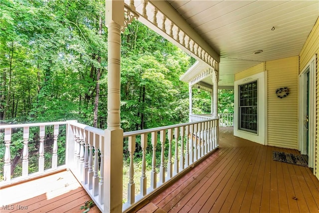 20765 Quarry Rd, Wellington, OH 44090 - photo 4