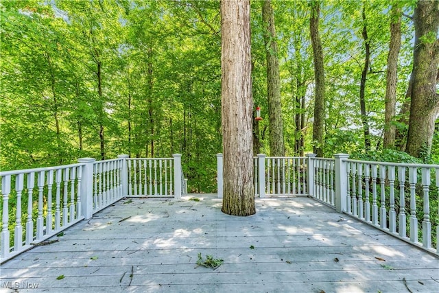 20765 Quarry Rd, Wellington, OH 44090 - photo 11