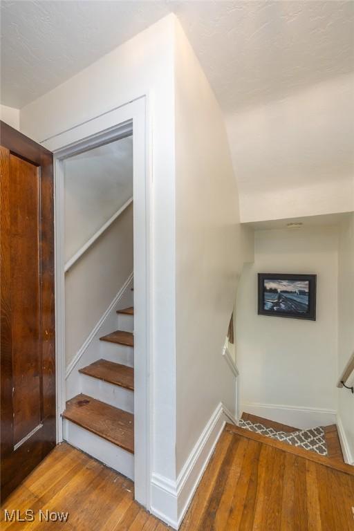 927 Roanoke Rd, Cleveland Heights, OH 44121 - photo 26