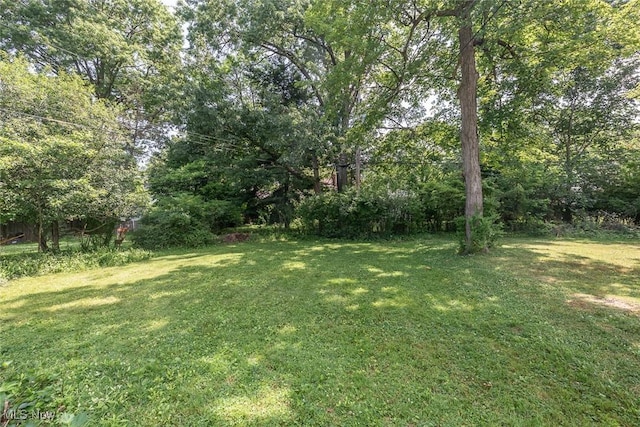 927 Roanoke Rd, Cleveland Heights, OH 44121 - photo 38