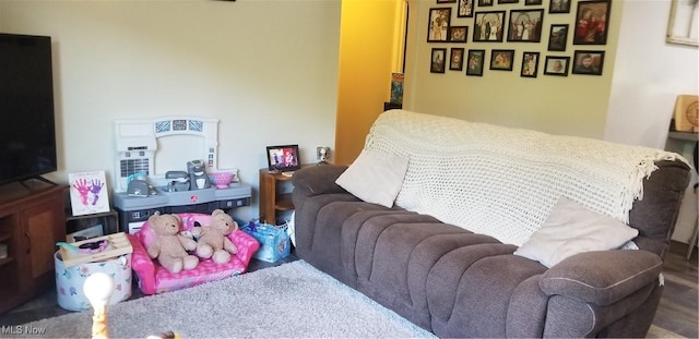 29928 Buck Rd, Salem, OH 44460 - view of living room
