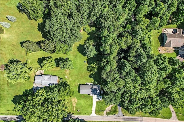 29928 Buck Rd, Salem, OH 44460 - photo 46
