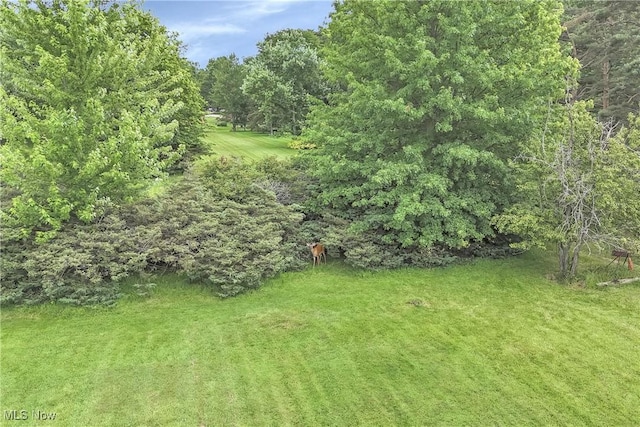 W 130th St, Parma, OH 44130 - photo 6