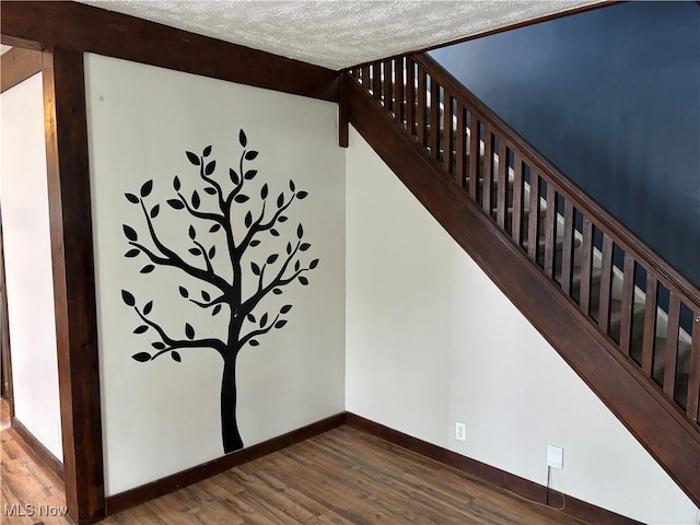 391 Cornell St, Akron, OH 44310 - stairway featuring wood finished floors and a textured ceiling