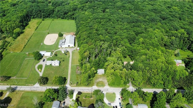 8552 Ravenna Rd, Chardon, OH 44024 - photo 4