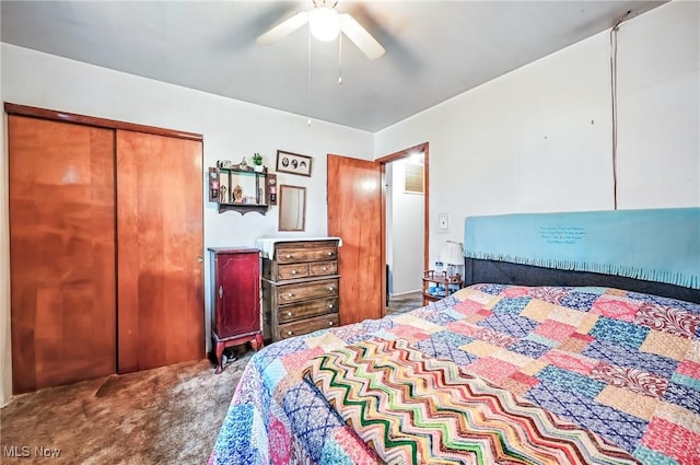 4477 S Warwick Dr, Canfield, OH 44406 - bedroom featuring carpet floors, a closet, and a ceiling fan
