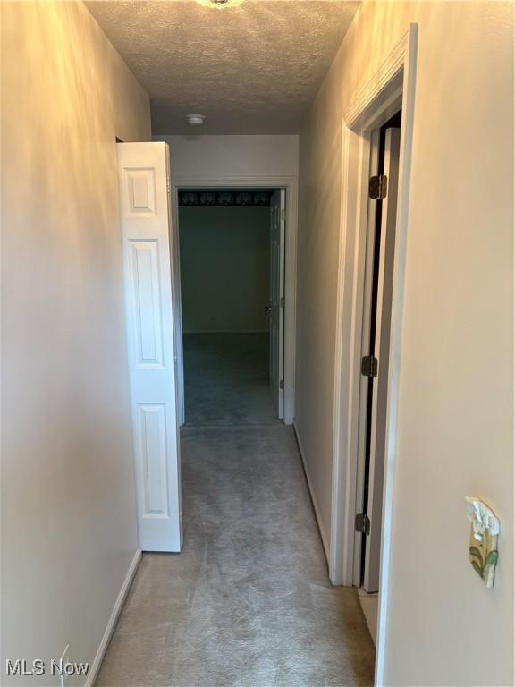 4308 Steuben Woods Dr, Steubenville, OH 43953 - photo 18