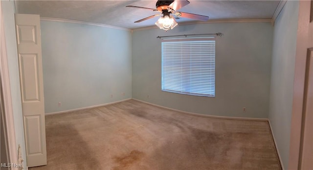 4308 Steuben Woods Dr, Steubenville, OH 43953 - photo 20