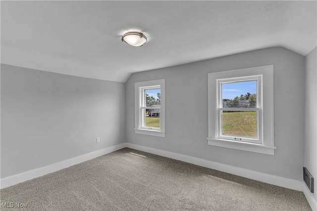 13050 Diagonal Rd, Salem, OH 44460 - additional living space featuring lofted ceiling and carpet flooring