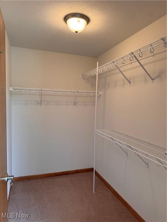 244 Woodbury Cir, Dalton, OH 44618 - photo 23