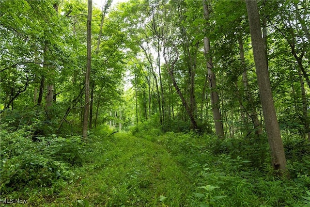 51663 Township Rd 159, West Lafayette, OH 43812