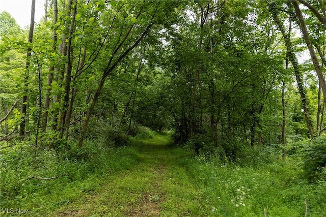51663 Township Rd 159, West Lafayette, OH 43812