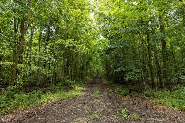 51663 Township Rd 159, West Lafayette, OH 43812