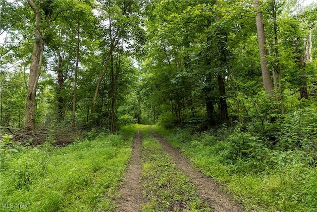 51663 Township Rd 159, West Lafayette, OH 43812