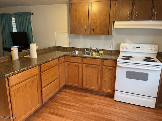 9329 Infirmary Unit C13, Mantua, OH 44255 - kitchen with white range with electric stovetop, ventilation hood, brown cabinetry, light wood-style floors, and a peninsula