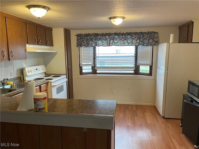 9329 Infirmary Unit C13, Mantua, OH 44255 - kitchen with white appliances, under cabinet range hood, light wood-type flooring, a peninsula, and dark countertops
