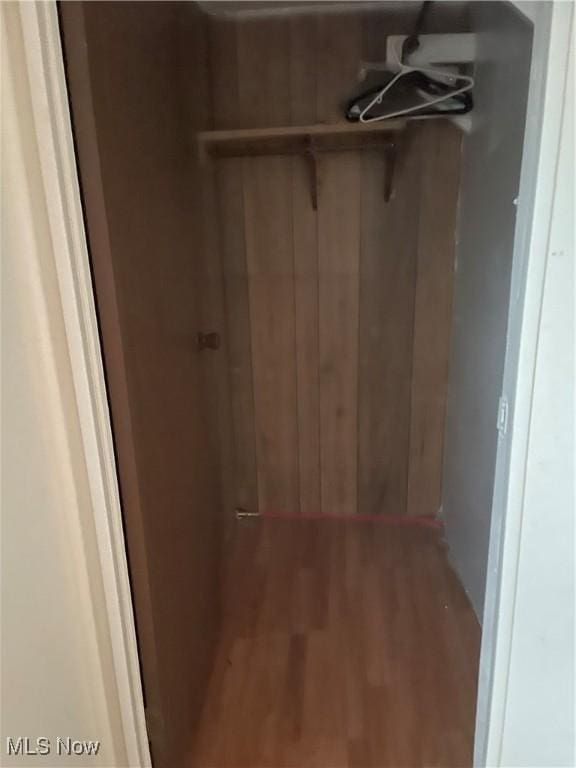 9329 Infirmary Unit C13, Mantua, OH 44255 - view of closet