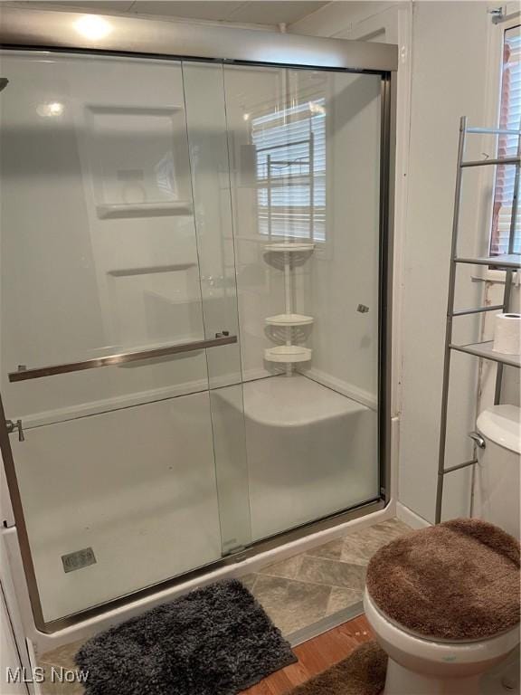 9329 Infirmary Unit C13, Mantua, OH 44255 - bathroom featuring wood finished floors and a stall shower
