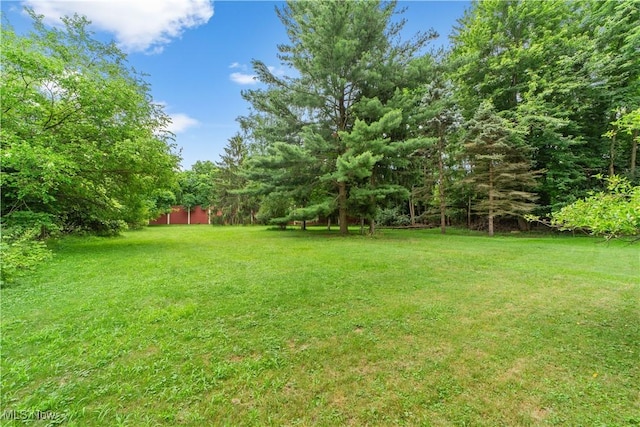 4347 Parklawn Dr, Willoughby, OH 44094 - photo 39