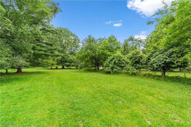 4347 Parklawn Dr, Willoughby, OH 44094 - photo 40