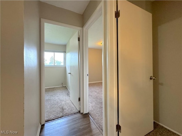 24525 Sherborne Rd, Bedford Heights, OH 44146 - corridor with carpet floors and wood finished floors