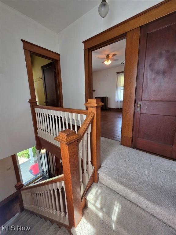 302 High St, Woodsfield, OH 43793 - stairs featuring carpet flooring, a ceiling fan, and radiator heating unit