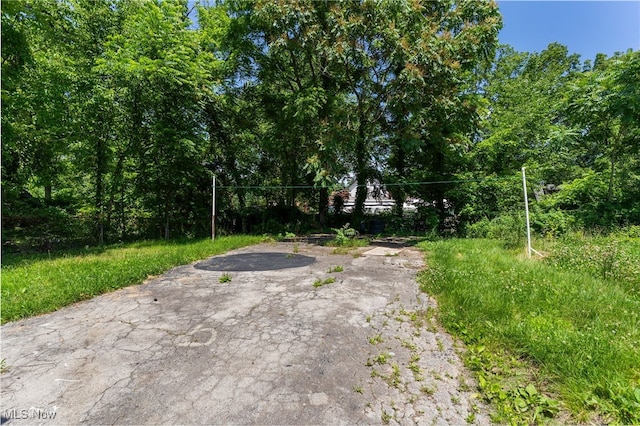 532 W Ravenwood Ave, Youngstown, OH 44511 - photo 5