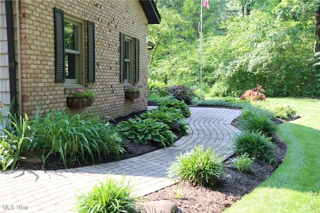 812 Spring Water Dr, Akron, OH 44333 - view of yard