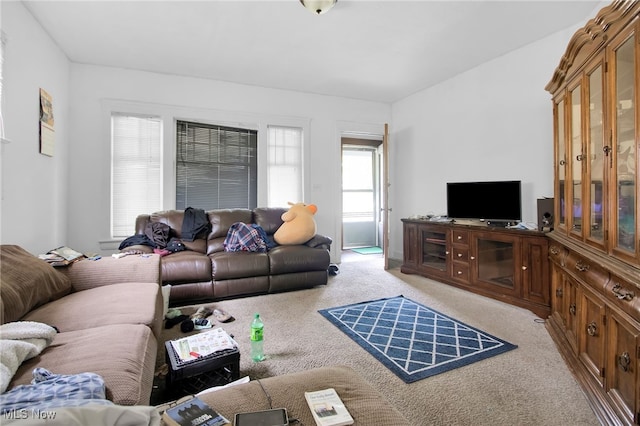 3033 W Blvd, Cleveland, OH 44111 - photo 11