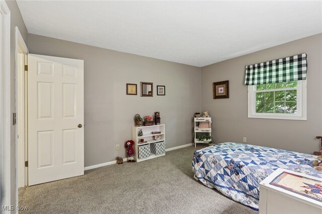 5568 Forest Glen Rd, Madison, OH 44057 - photo 21