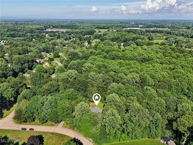 5568 Forest Glen Rd, Madison, OH 44057 - photo 47