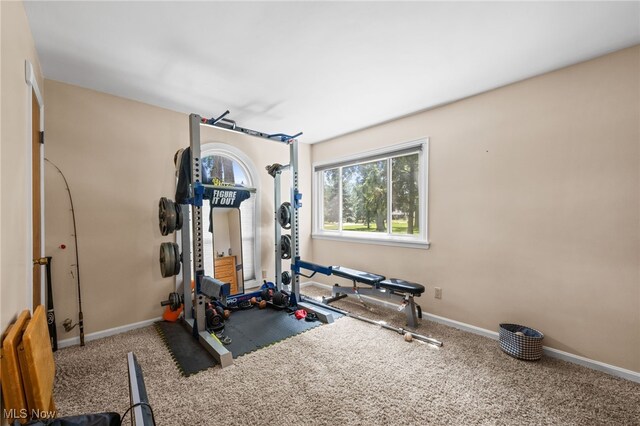 34765 Roberts Rd, Eastlake, OH 44095 - workout area featuring baseboards and carpet
