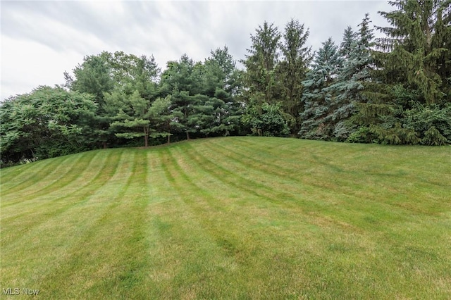 100 Hartford Ct, Broadview Heights, OH 44147 - view of green lawn