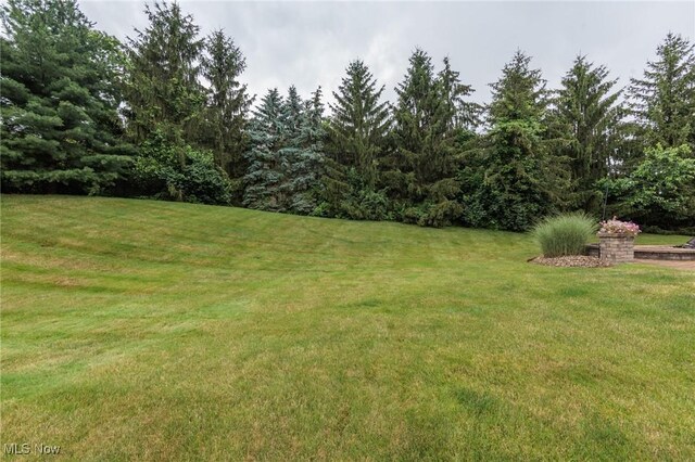 100 Hartford Ct, Broadview Heights, OH 44147 - view of green lawn