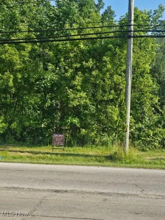 CARPENTER W 19th Rd, Ashtabula, OH 44004 - photo 4