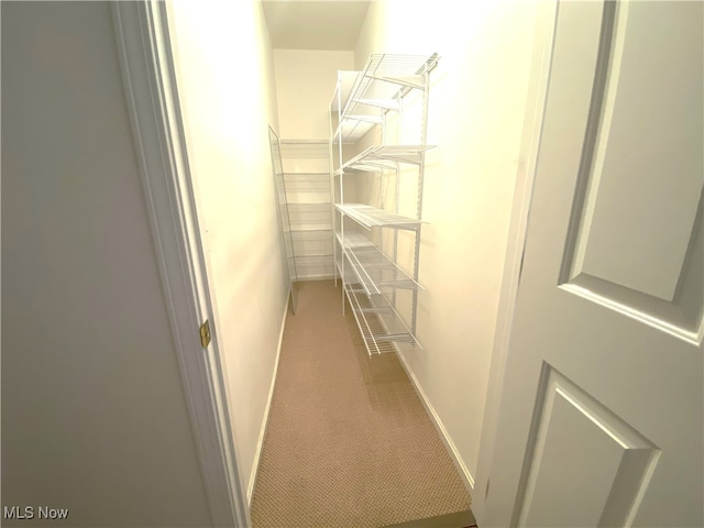 10517 W Ravine View Ct, North Royalton, OH 44133 - view of storage room
