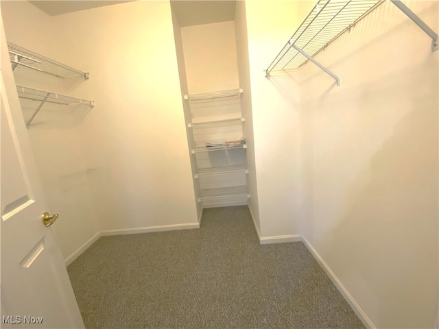 10517 W Ravine View Ct, North Royalton, OH 44133 - walk in closet with carpet floors