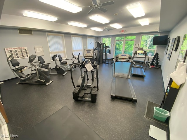 10517 W Ravine View Ct, North Royalton, OH 44133 - workout area featuring a ceiling fan