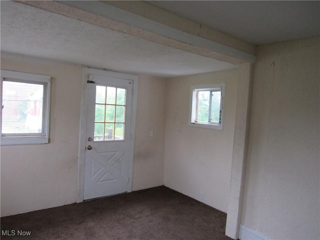 3298 E 143rd St, Cleveland, OH 44120 - doorway to outside featuring dark colored carpet