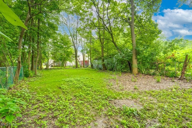 12008 Continental Ave, Cleveland, OH 44120 - photo 35