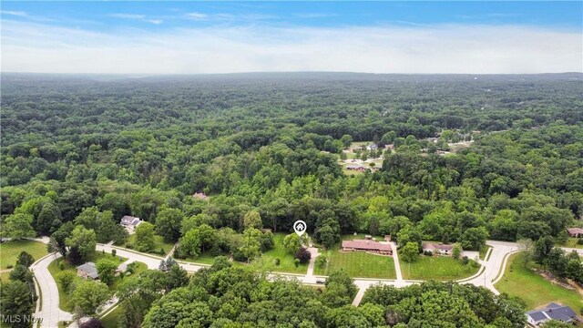 8918 Bramley Dr, Independence, OH 44131 - photo 37
