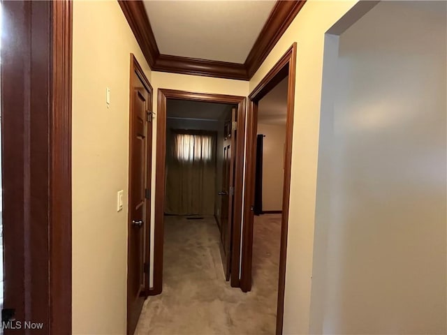 484 Louella Ave, Chester, WV 26034 - hallway featuring ornamental molding and light colored carpet