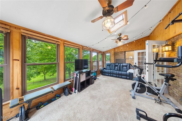 1141 Las Olas Blvd NW, North Canton, OH 44720 - workout area with ceiling fan, plenty of natural light, carpet flooring, vaulted ceiling, and wooden walls