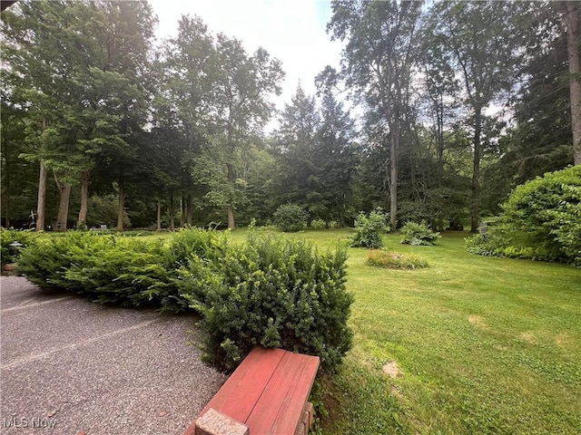 15021 Stillwater Dr, Novelty, OH 44072 - photo 32