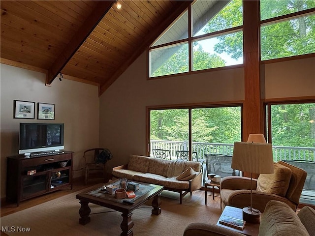 2650 W Buckhorn Dr Unit 823, Millersburg, OH 44654 - living room featuring high vaulted ceiling, wood finished floors, healthy amount of natural light, and a wood ceiling with exposed beams