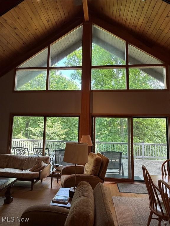 2650 W Buckhorn Dr Unit 823, Millersburg, OH 44654 - living area featuring high vaulted ceiling, beamed ceiling, and wood finished floors