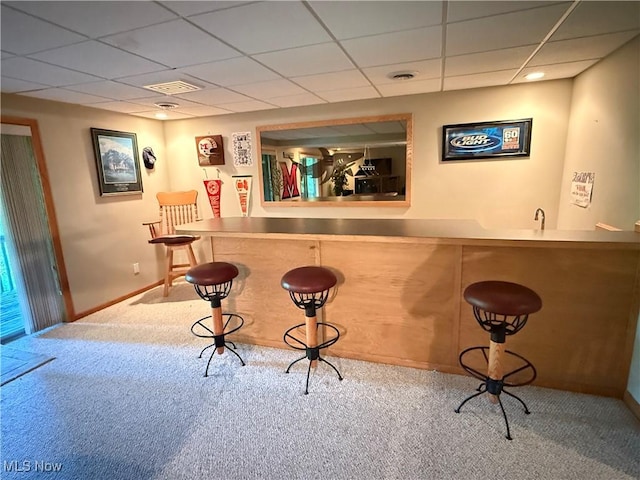 2650 W Buckhorn Dr Unit 823, Millersburg, OH 44654 - indoor wet bar featuring carpet flooring and a paneled ceiling