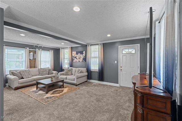 208 Clark St, Berea, OH 44017 - living room with a textured ceiling, ornamental molding, carpet floors, plenty of natural light, and recessed lighting