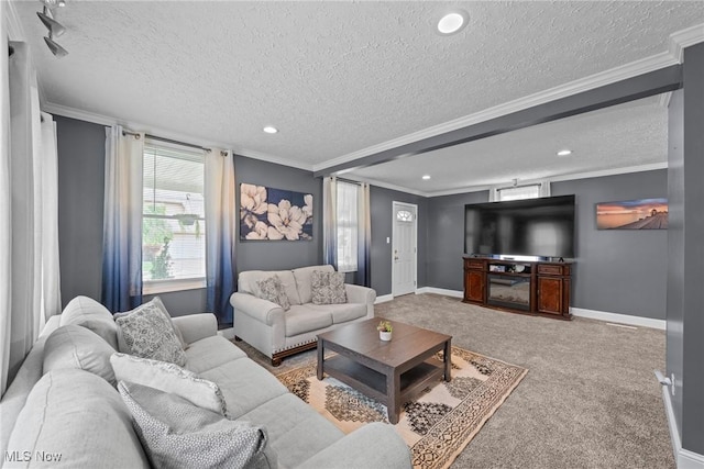 208 Clark St, Berea, OH 44017 - living area featuring crown molding, a textured ceiling, carpet, and recessed lighting