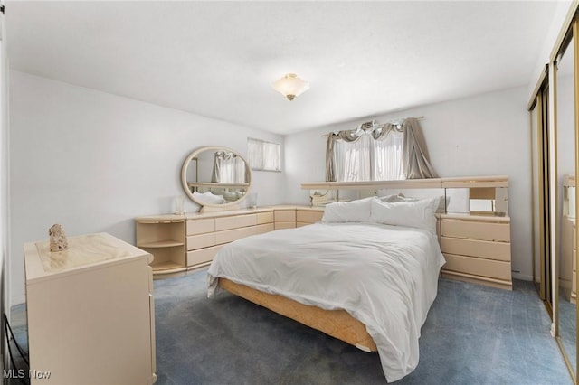 24622 Mitchell Dr, North Olmsted, OH 44070 - bedroom with dark carpet and a closet